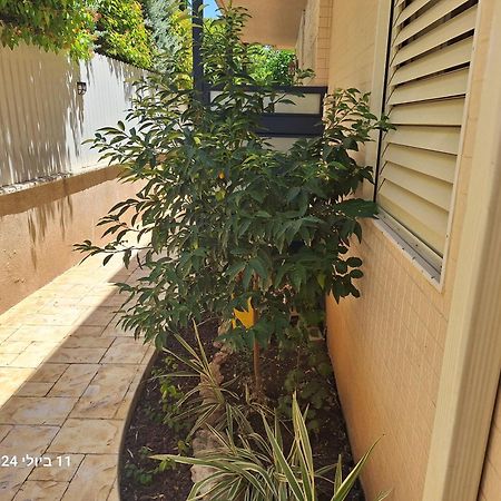 הבית הירוק Hotel Karmiel Exterior photo